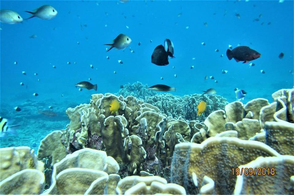 Pulau Weh Paradise Sabang  Extérieur photo