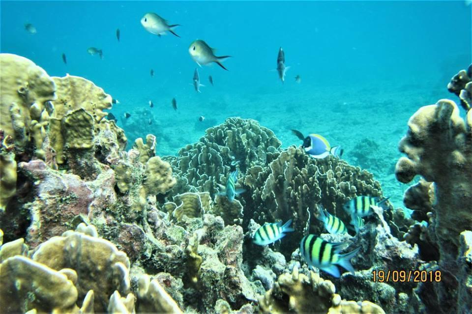 Pulau Weh Paradise Sabang  Extérieur photo